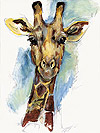 Giraffe (Wilderei)