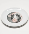 Tierportraits (Schwein)